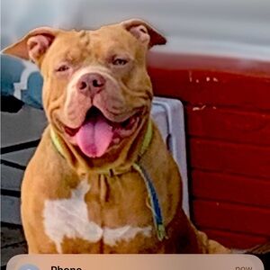 Meet your Posher, Chantae